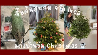 Christmas Vlog 🎄รีวิวซื้อต้นสนสดที่ IKEA | แต่งต้นคริสต์มาส | Christmas festival l Winter vibe