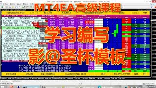 003.影子圣杯模板.学习编写MT4EA国际课程.2022/2023.柒侠伍义.7x51.马来西亚.槟城