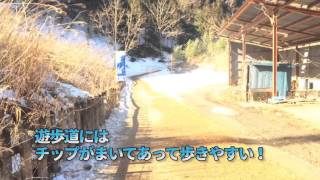 駅から近い！埼玉県横瀬町「あしがくぼの氷柱」