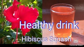 Hibiscus squash/ചെമ്പരത്തി  പൂവിന്റെ സ്ക്വാഷ് /  ചെമ്പരത്തി  പൂവിന്റെ ജ്യൂസ്/Hibiscus Juice