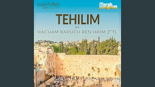 Tehilim 39