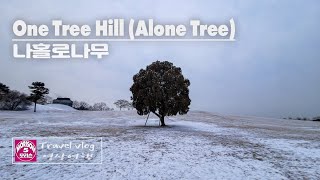 [4K] One Tree Hill (Alone Tree) at Olympic Park // 나홀로나무 // Travel Vlog // 모리슨 영상여행