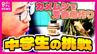 【いいにおいのカメムシ発見】中学生が「カメムシ」で芳香剤を作る研究進める　みかんなど作物を荒らす嫌われものが役立つか　商品化目指す　「お菓子、クッキーみたいなにおい」〈カンテレNEWS〉