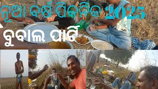 New Year Picnic ||ମଦ ସହିତ ମାଂସ ଏବଂ ମୁଢି Jadabcreators