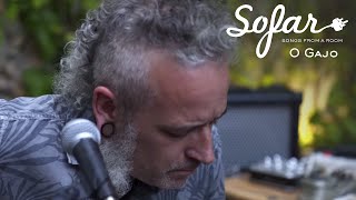 O Gajo - A Carteirista | Sofar Lisbon