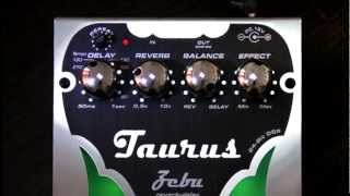 Zebu - reverb/delay (Taurus Amp)