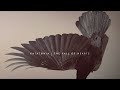 Katatonia - Sanction [5.1 Surround Sound]