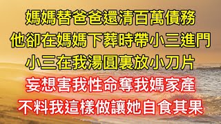 媽媽替爸爸還清百萬債務，他卻在媽媽下葬時帶小三進門，小三在我湯圓裏放小刀片，妄想害我性命奪我媽家產，不料我這樣做讓她自食其果