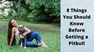 8 Things You Should Know Before Getting a Pitbull