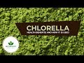 Chlorella - Health Benefits and How it is used