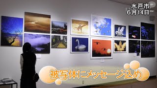 トップフォトグラファー展【いばキラニュース】R4.6.15