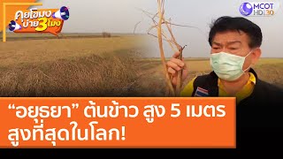 “อยุธยา” ต้นข้าว สูง 5 เมตร สูงที่สุดในโลก! (3 ก.พ. 64) คุยโขมงบ่าย 3 โมง | 9 MCOT HD