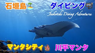 石垣島🏝ダイビング🤿川平マンタシティ🪸川平マンタ🤩👍2024年10月