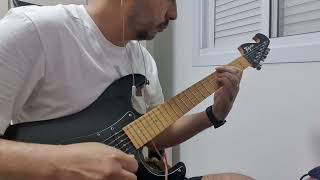 Red Hot Chili Peppers - Dani California (cover)