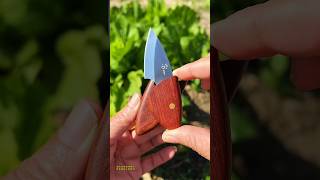 #Super cheap and cost-effective #Small fat pig wooden fish knife #Meat knife #fruitknife #shorts