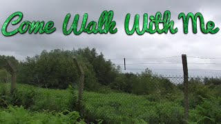 A Riverside Walk Part Two | Flintshire Circular Walks