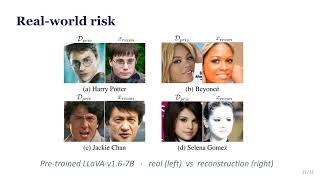 [CVPR2026] Do VLMs Leak What They Learn? Adaptive Token-Weighted Model Inversion Attacks
