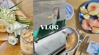 Vlog. 임신 14-15주 일상, 물복숭아도 맛있어, 전주 맛집 기록, 올여름 마지막 계곡 나들이, 원팬 요리 집밥