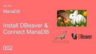 Database SQL MariaDB - Install IDE DBeaver & Cara Koneksi ke Server MariaDB