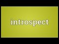 Introspect Meaning