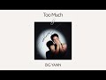 [Official Audio] BIG YAWN - Too Much