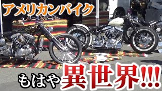 【驚愕】スポーツバイクしか知らない男がハーレーの世界を覗いてみた・・【ブルースカイヘブン2023】