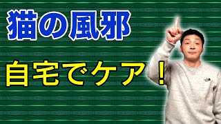 猫と犬の風邪治療を自宅でできるネブライザー（吸引器）