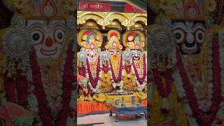 Jay Jagannath Ji ashadhi bij super Gujarati song #youtubeshorts #viral #