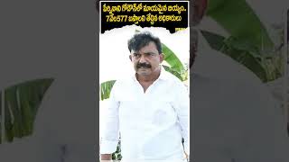 పేర్నినాని గోడౌన్ లో  మాయమైన బియ్యం...#shorts #perninani #rationrice #machilipatnam #telugunews