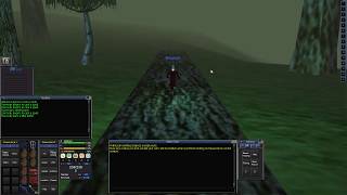 [Project 1999 Everquest] Starting from Scratch Guide Part 3