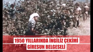 Bu Giresun Belgeselini Daha Önce Hiç İzlemediniz