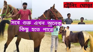 ট্রেনিং ঘোড়া সবে শুরু এখন অনেক কিছু হতে পারে #ট্রেনিং #ঘোড়া #রেস #শুরু