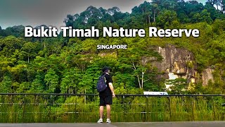 一起去爬新加坡最高峰！紅衣阿嬤，第六感叫我別進去的屋子。Bukit Timah Nature Reserve