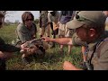 Rangerausbildung Botswana NATUCATE