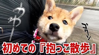 【柴犬子犬】初めての『抱っこ散歩』にドキドキワクワク！子犬の柴犬　Shiba Inu, a thrilling puppy for the first hug walk【柴犬プウ】【柴犬プウ】