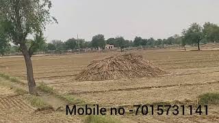 2.75 acre land for sale in Hisar ( Haryana) 📞7015731141