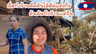 เริ่มทำร้านตัดต้นไม้ตัดแต่งกิ่งดันล้มทับร้านแม่จัน￼|ToiyYoiy