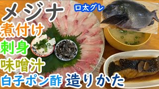 【メジナ】で刺身、煮つけ、味噌汁をつくるよ【捌き方】