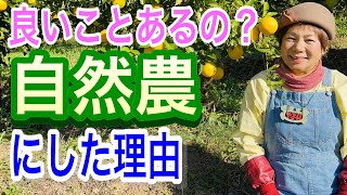 自然農の野菜をご紹介します。無農薬・無化学肥料・不耕起です