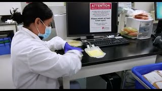 Happy Lab Week, LifeStream!