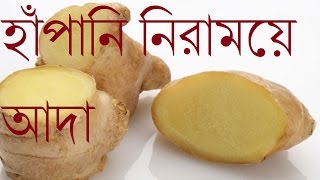 হাঁপানি নিরাময়ে আদা||Hapani Niramoia Ada||আদার নানা উপকারিতা