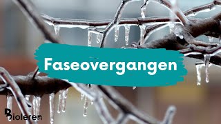 Bioleren - Faseovergangen