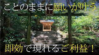 【神社WEB参拝】 ことのままに願いが叶う！／参拝帰りに現れてしまう最速のご利益！遠州最強パワースポット「事任八幡宮」本宮編　〈神社案件 参拝ルーティーン02〉