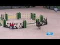 VIVALDI DU THEIL & Mark MCAULEY - CSI5* Genève 2018 Derby winner