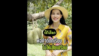 เคล็ดลับ วิธีเลือกพ่อค้าตัดทุเรียน ไม่ให้เสียเปรียบ