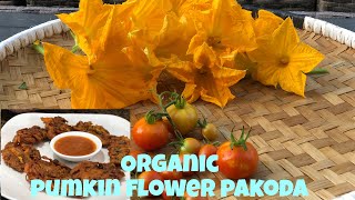 Baari ko farsi ko phool ko pakoda and recipe, organic vegetables, garden tour 😊