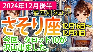 さそり座【2024年12月後半の運勢】周囲との調和を意識すると良い時期！タロットと星の導き✨