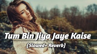 Tum Bin Jiya Jaye Kaise [Slowed+Reverb] | Tum Bin || Chitra || Priyanshu,Sandali,Rakesh || Lofi ||