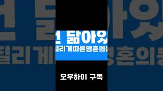 붕붕 마지막 타이포 (shorts버전)