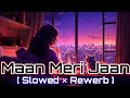 Maan MERi Jaan LoFi ~ [ Slowed × Rewerb ] @King